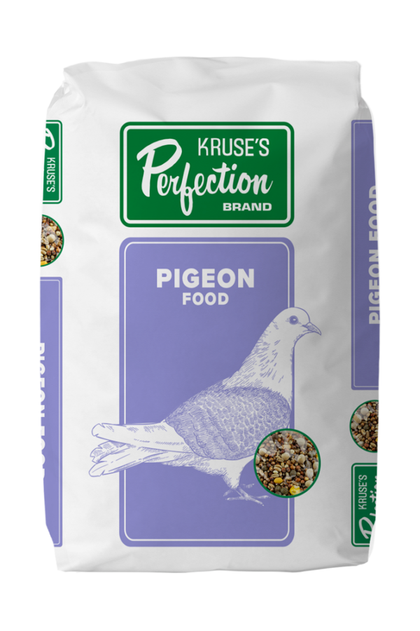 Maintenance Pigeon