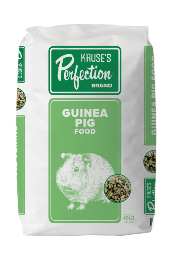 Guinea Pig Food